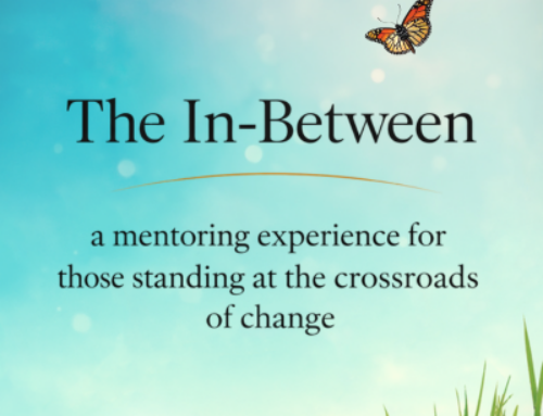 The In-Between Mentoring Experience